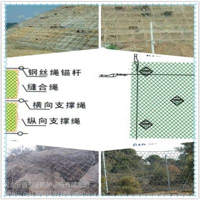 安首綠化坡面用邊坡防護(hù)網(wǎng)植物能夠自由生長(zhǎng)