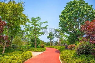 占地7100平方米 石家莊這座新公園即將開(kāi)放 看看在你家附近么