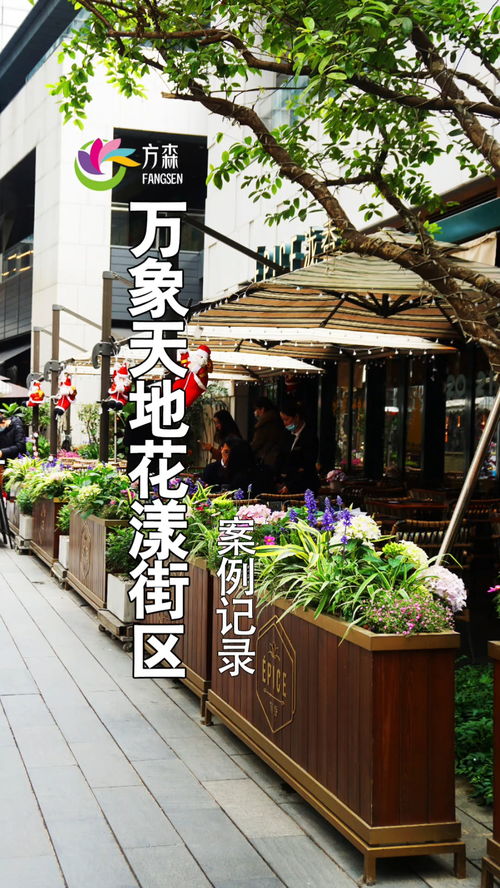深圳南山萬(wàn)象天地花漾街區(qū) 案例記錄 園林綠化 園林設(shè)計(jì)施工 廣東花境設(shè)計(jì) 花箱 生活處處是風(fēng)景