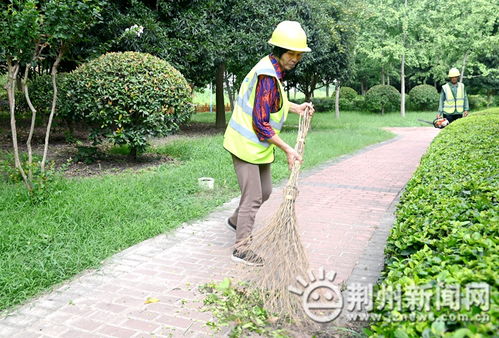 高溫下的勞動(dòng)者 園林綠化夫妻檔 澆 出城市新氣象