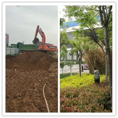 河南省綠洲園林向所有勞動(dòng)者致敬!