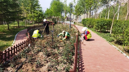 蘭州市南北兩山環(huán)境綠化工程指揮部 圖片新聞 蘭州樹木園游園綠地管護(hù)項(xiàng)目開展日常管護(hù)工作