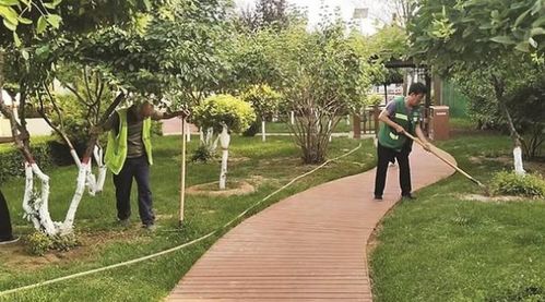 加強園林綠化管護 提升城市綠色品質(zhì)