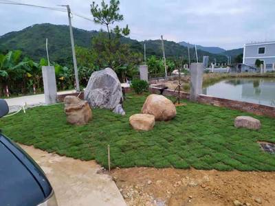 惠東譚公果苗花木場(chǎng)-別墅/工廠/學(xué)校綠化設(shè)計(jì),綠化工程,綠化養(yǎng)護(hù)