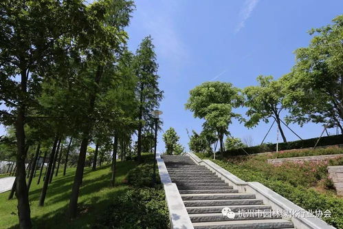 2017年度杭州市優(yōu)秀園林綠化工程道路組金獎(jiǎng) 三江兩岸整治 江濱西大道景觀工程 一期