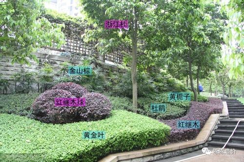 綠化養(yǎng)護(hù)期到底從哪開(kāi)始計(jì)