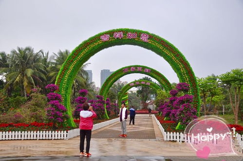 景區(qū)景觀五色草真植物雕塑批發(fā)價 四川雕塑廠專業(yè)定制