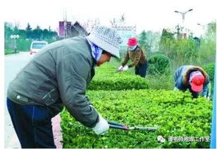 盤點(diǎn)近年全國卷不正經(jīng)高考題