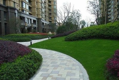 為什么要進行綠化養護?