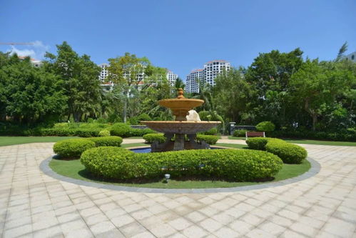 一篇園林綠化施工的流程步驟送給你,愛學習的你要收藏哦