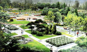 太平山中央公園改造規劃 方案已通過專家評審